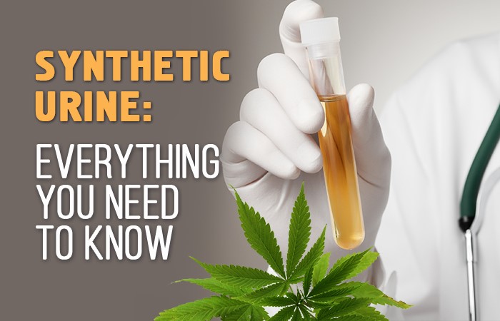 Synthetic Urine Belt Atlanta GA 30310